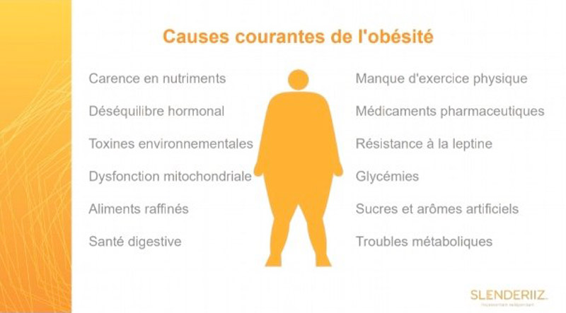 Cause Obésité | Reflet de soi | Véronique Meylan Cause Obésité | Reflet de soi | Véronique Meylan