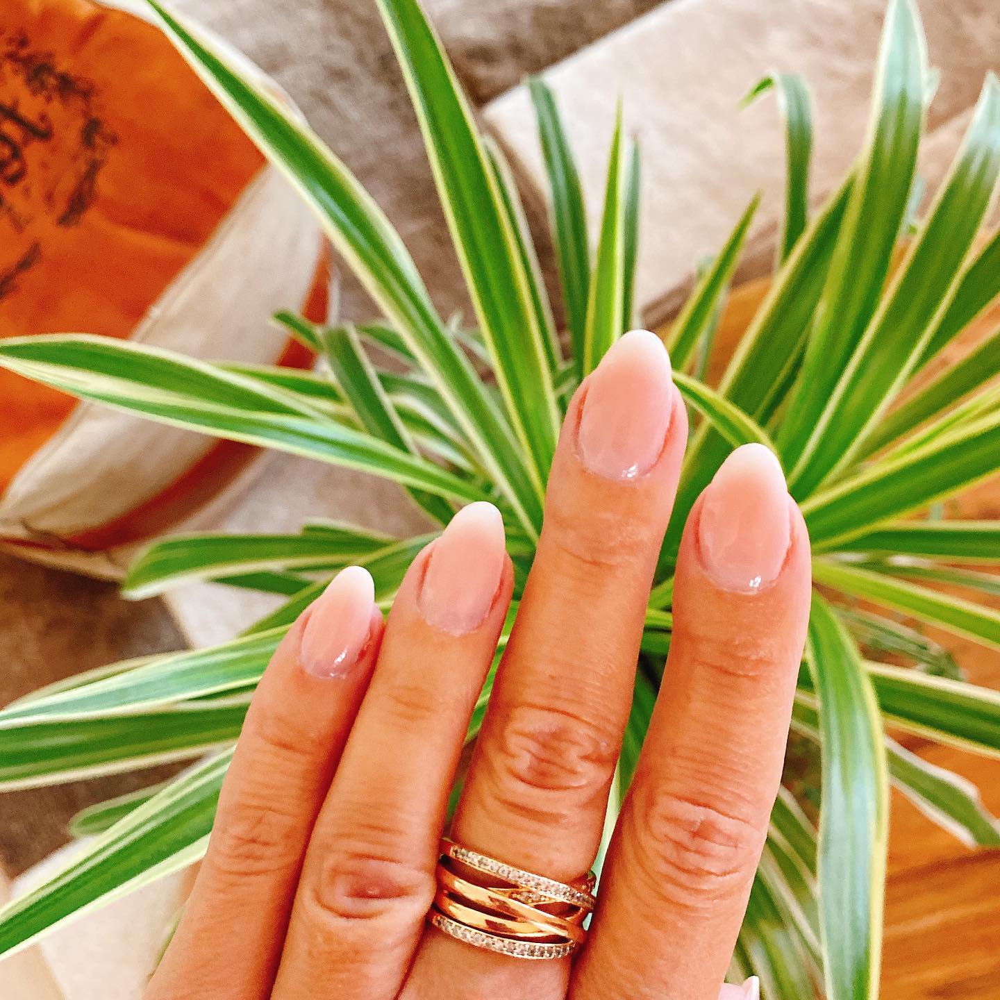 Véronique Meylan | Reflet de Soi