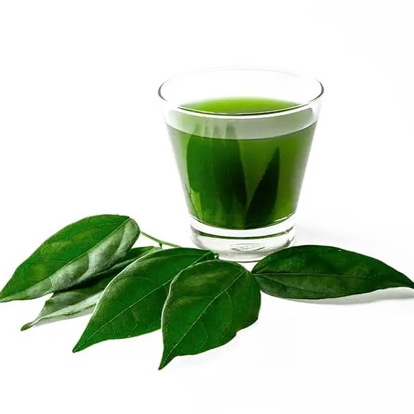 ✓bienfaits de la 𝑪𝒉𝒍𝒐…