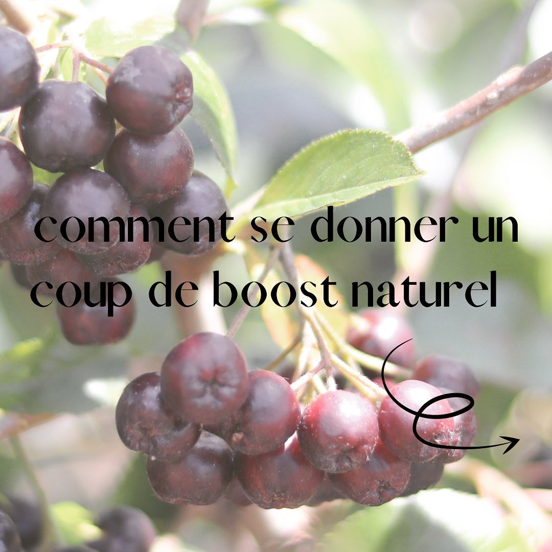 Véronique Meylan | Reflet de Soi