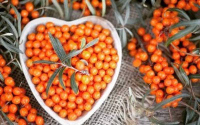 ➣ Les bienfaits de l …