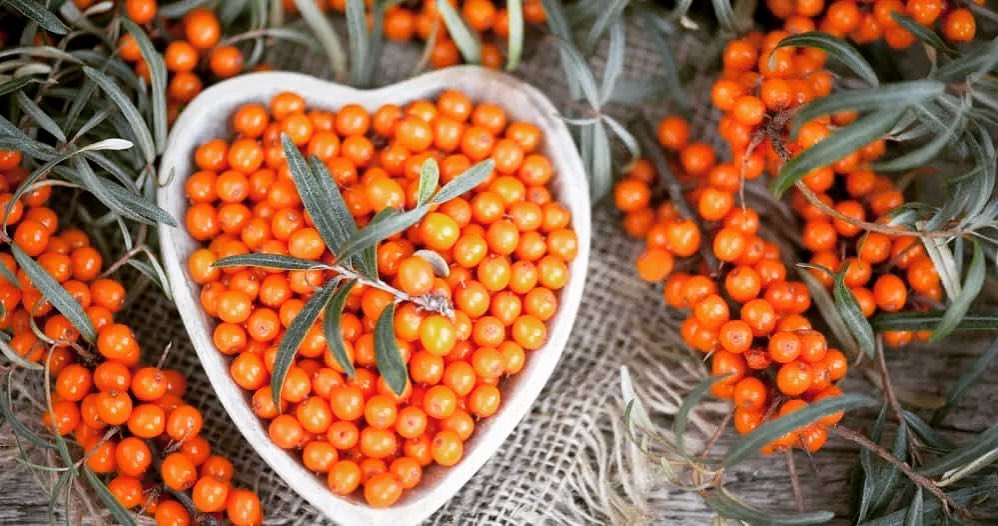 ➣ Les bienfaits de l …