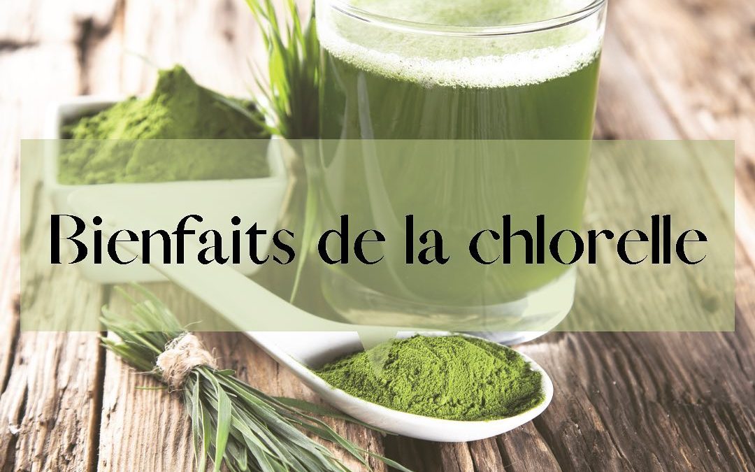 ➣ bienfaits 𝗱𝗲 𝗹𝗮 𝗰𝗵𝗹…