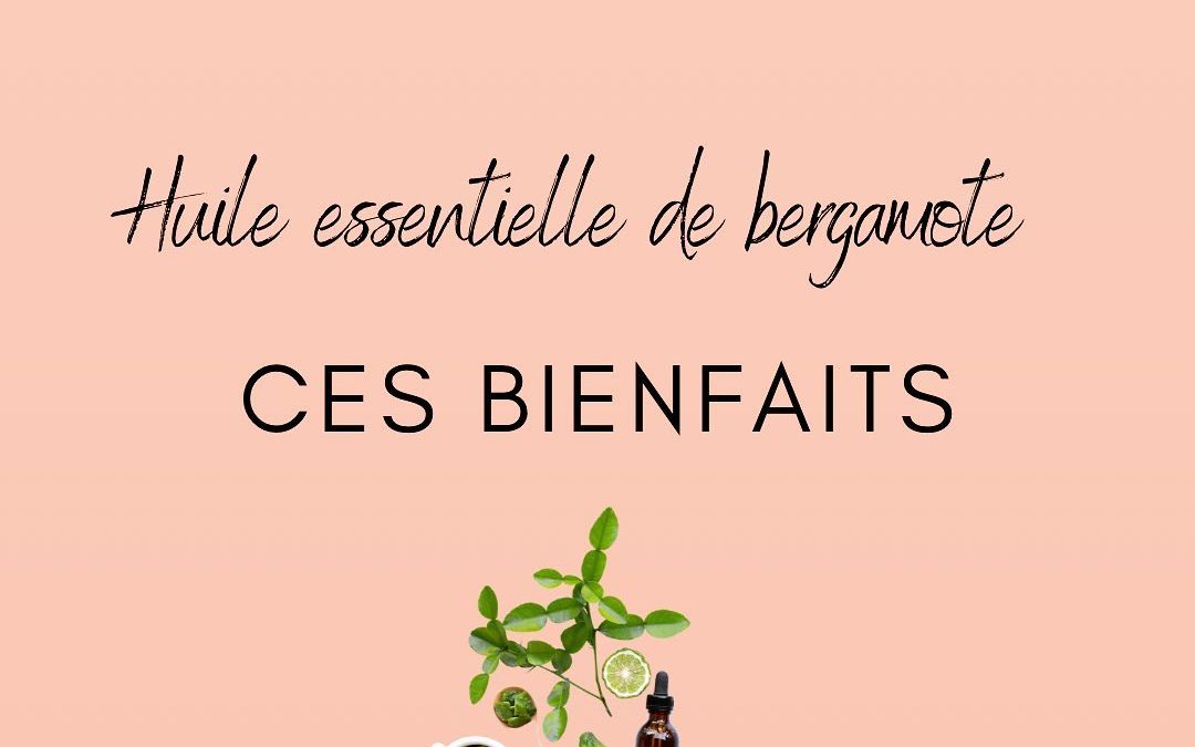 ᕼᑌIᒪᗴ ᗴᔕᔕᗴᑎTIᗴᒪᒪᗴ ᴅᴇ ʙᴇʀɢᴀᴍ…