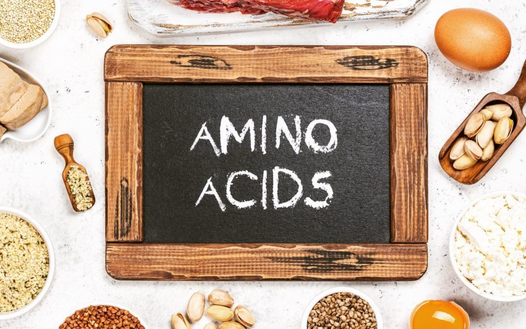 ⇢ La fonction des acides am…