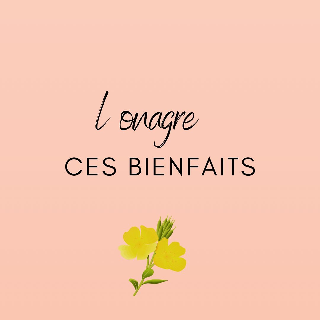 Véronique Meylan | Reflet de Soi