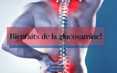 La 𝒈𝒍𝒖𝒄𝒐𝒔𝒂𝒎𝒊𝒏𝒆 c est quoi ?…