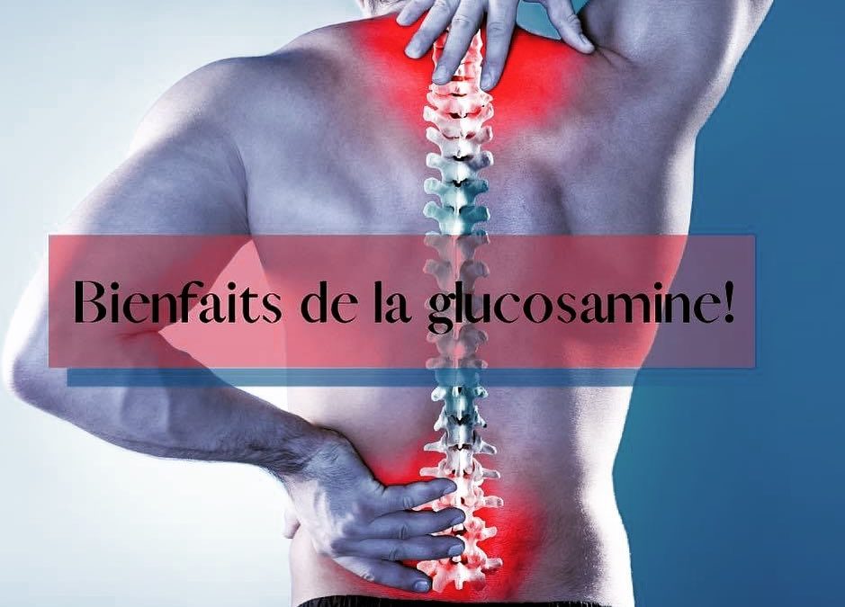 La 𝒈𝒍𝒖𝒄𝒐𝒔𝒂𝒎𝒊𝒏𝒆 c est quoi ?…