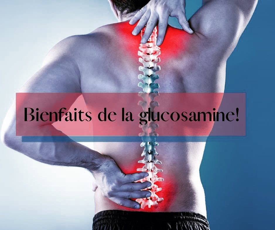 La 𝒈𝒍𝒖𝒄𝒐𝒔𝒂𝒎𝒊𝒏𝒆 c est quoi ?...