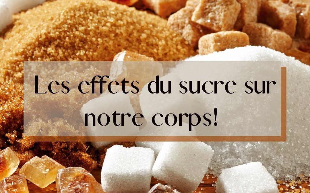 LE SUCRE : SES EFFETS SUR N…