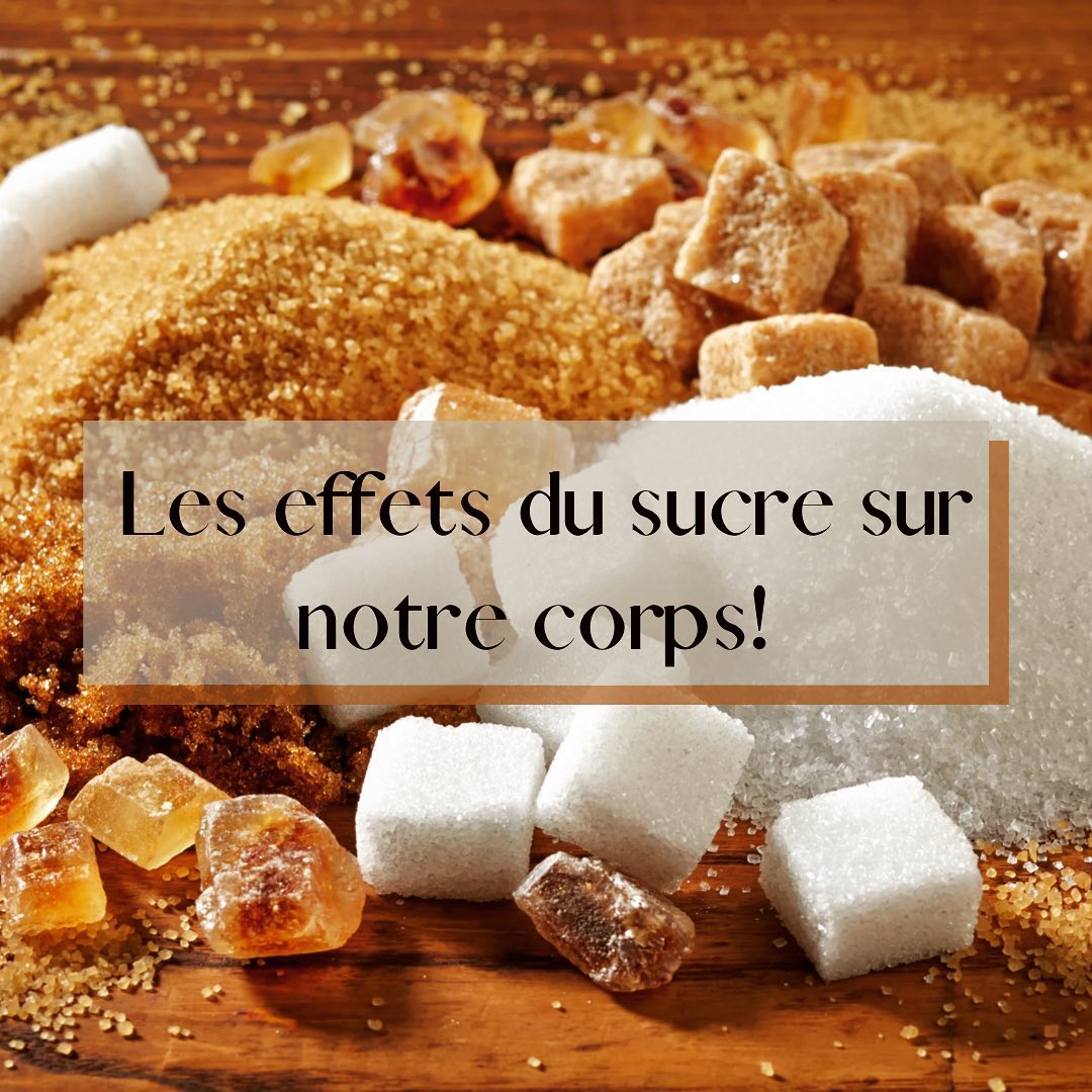 278679379_524391025915549_614319918010033551_n LE SUCRE : SES EFFETS SUR N...