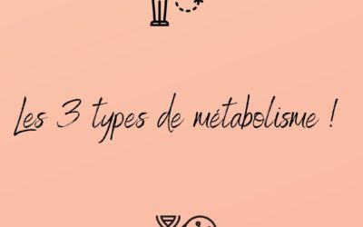 ⇢ Les trois types de métabo…