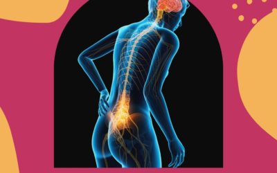 Voici le lien entre les dou…