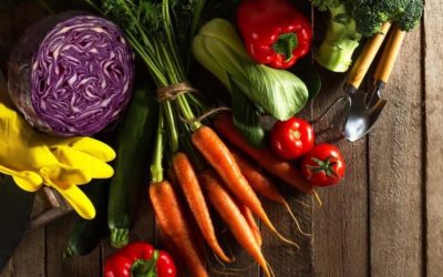 Astuce santé, pourquoi commencer votre repas par les légumes!