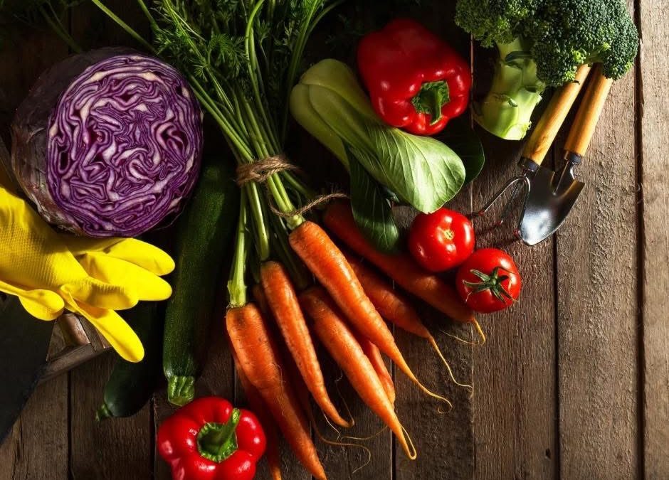 Astuce santé, pourquoi commencer votre repas par les légumes!