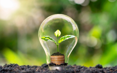 L’importance de la mise à la terre pour notre bien-être 