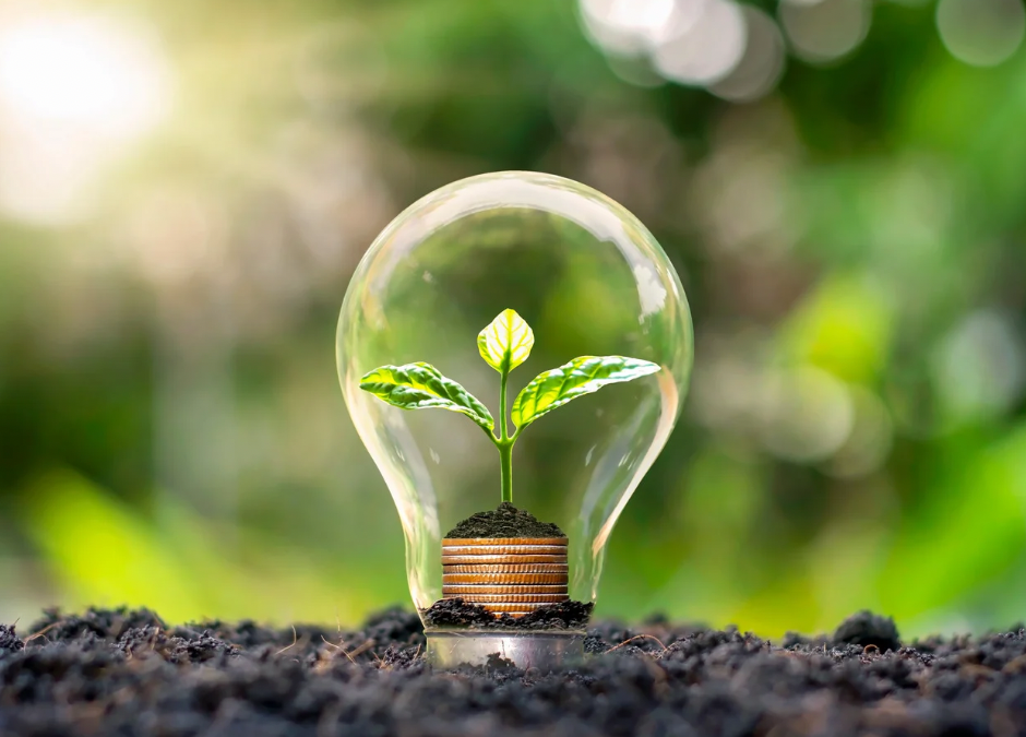 L’importance de la mise à la terre pour notre bien-être 