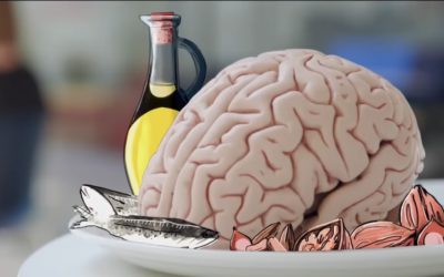 L’importance des omega3 pour notre cerveau et nos artères!