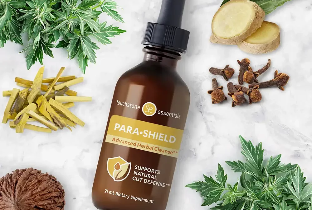 Vers et parasites intestinaux