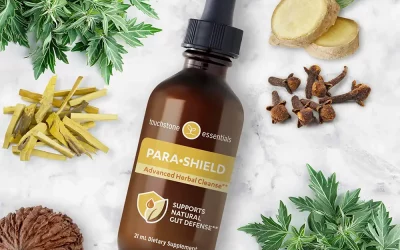 Vers et parasites intestinaux