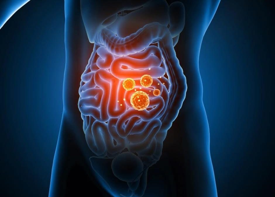  Tu as déjà entendu parler de l’intestin perméable