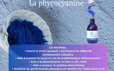 Detox foie et reins et santé cellulaire!