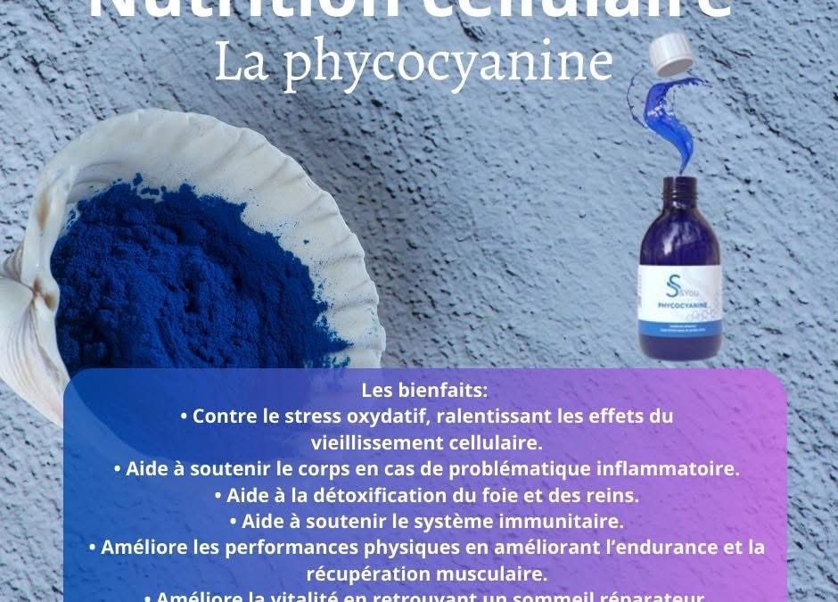 Detox foie et reins et santé cellulaire!